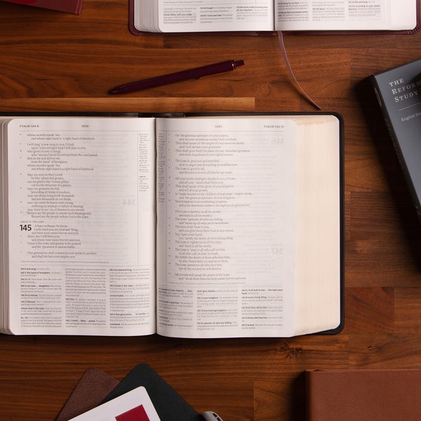 Reformation Study Bible